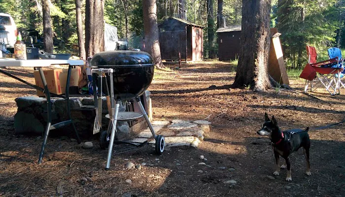 Chapman Creek Campground Picture 7