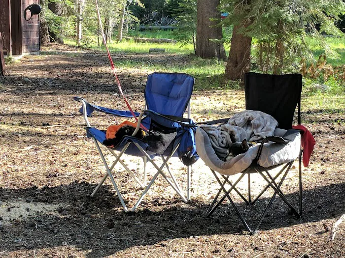 Chapman Creek Campground Picture 8