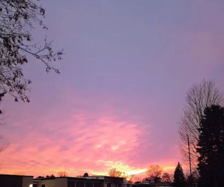 Cherrywood Village Mobile Home