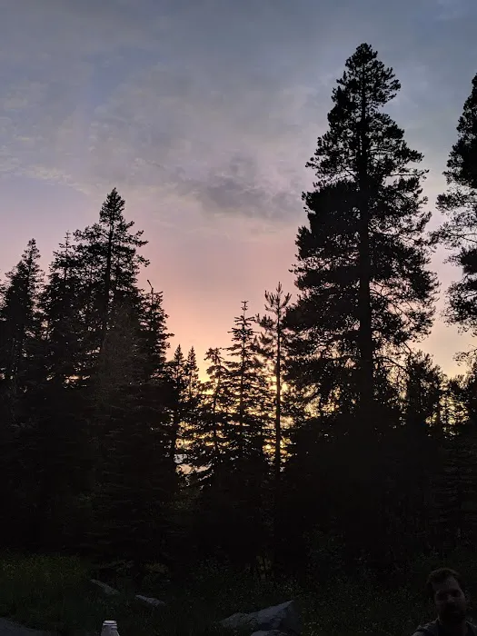 Yuba Pass Campground Picture 1