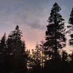 Yuba Pass Campground