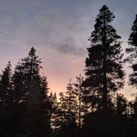 Yuba Pass Campground ico