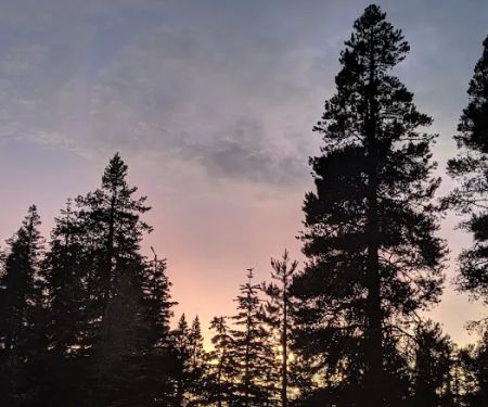 Yuba Pass Campground