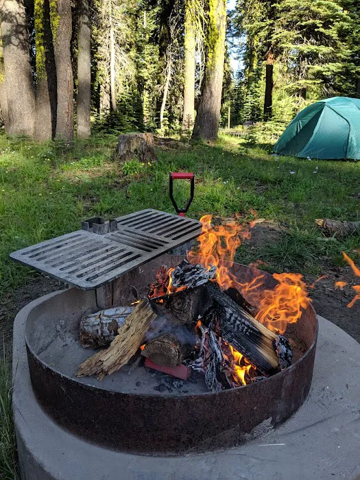 Yuba Pass Campground Picture 2