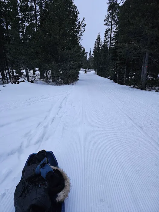 Yuba Pass Campground Picture 3