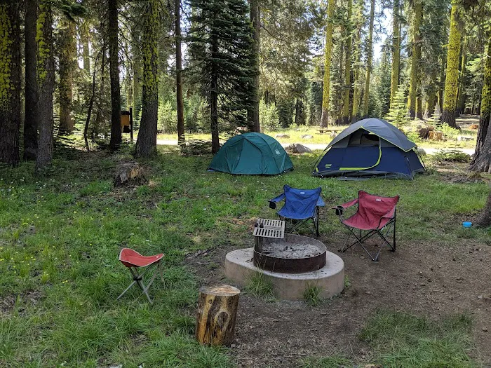 Yuba Pass Campground Picture 6