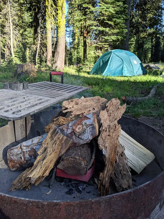 Yuba Pass Campground Picture 5