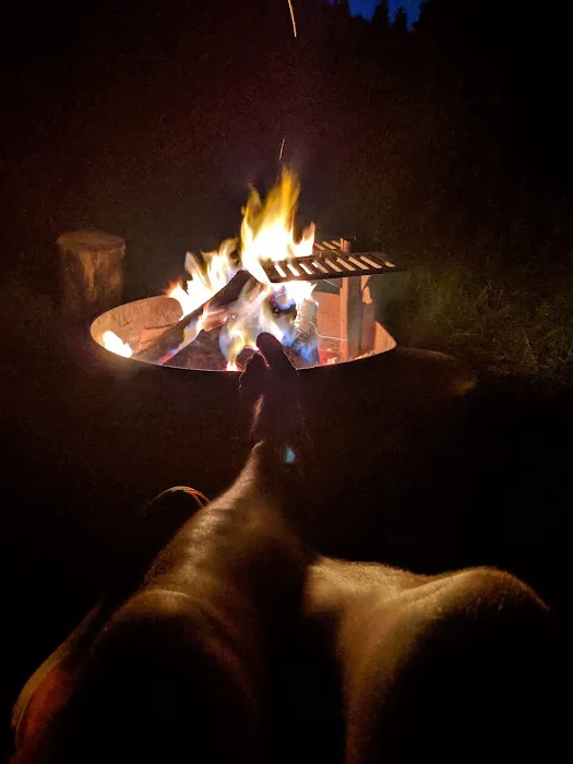 Yuba Pass Campground Picture 9