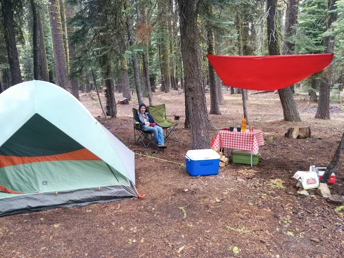 Yuba Pass Campground Picture 8