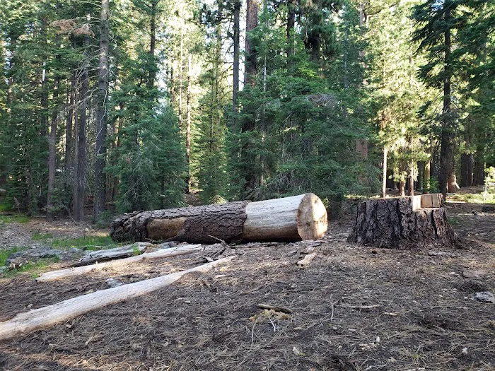 ASPEN GROUP (TAHOE) (recgovnpsdata) Picture 2