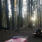 ASPEN GROUP (TAHOE) (recgovnpsdata)