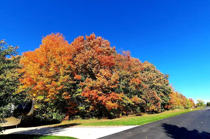 Traverse Bay RV Resort Picture 9