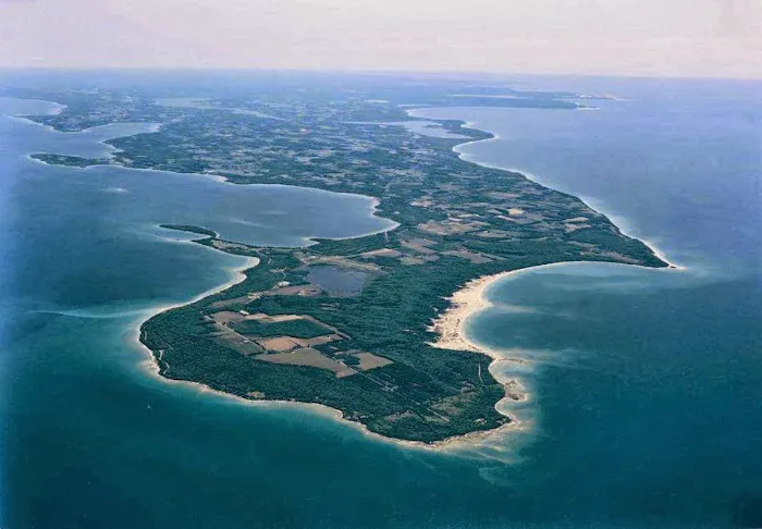 Wild Cherry Resort Picture 4