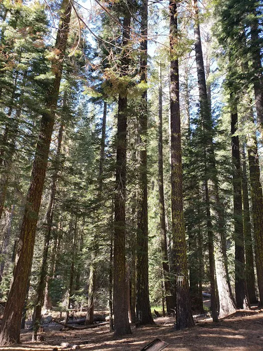 Pass Creek Campground Picture 7