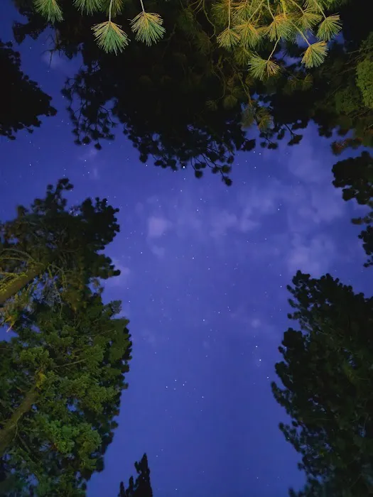 Pass Creek Campground Picture 9