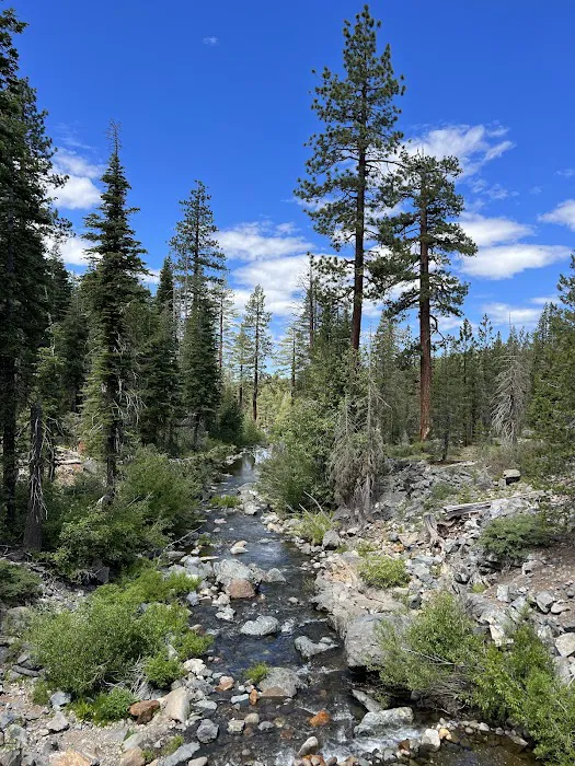 East Meadow Campground Picture 6