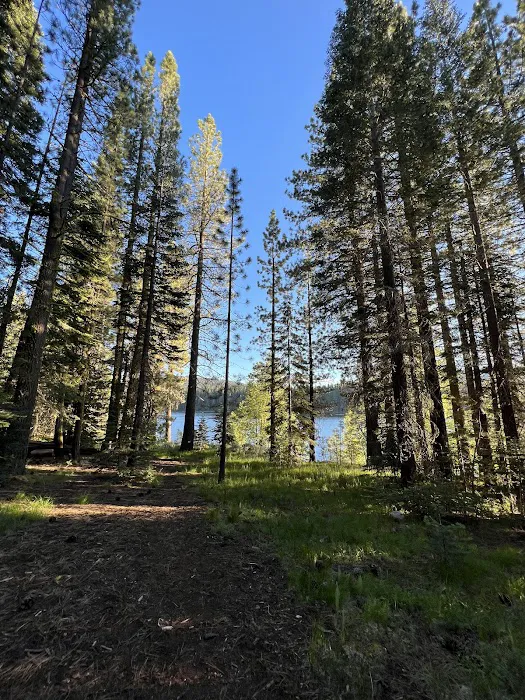 East Meadow Campground Picture 5