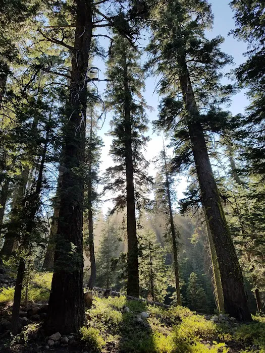 FINDLEY CAMPGROUND Picture 2
