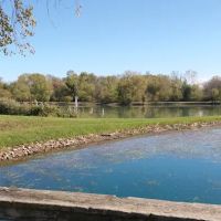 Patriot's Village ico