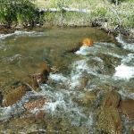 Cold Creek Campground