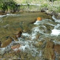 Cold Creek Campground ico