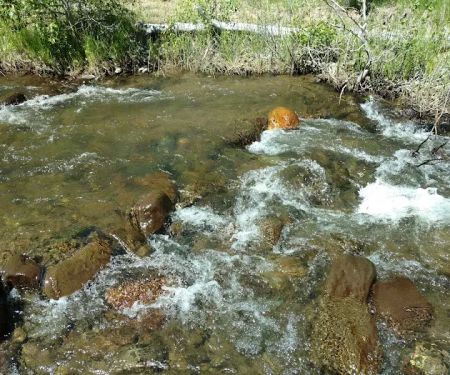 Cold Creek Campground