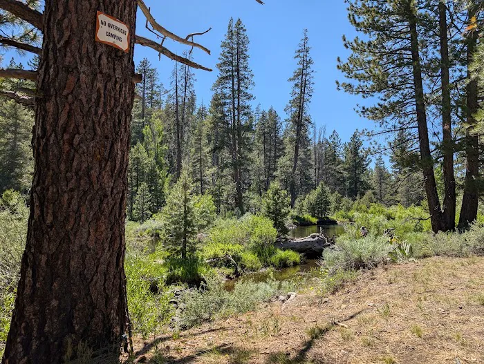 Cold Creek Campground Picture 2