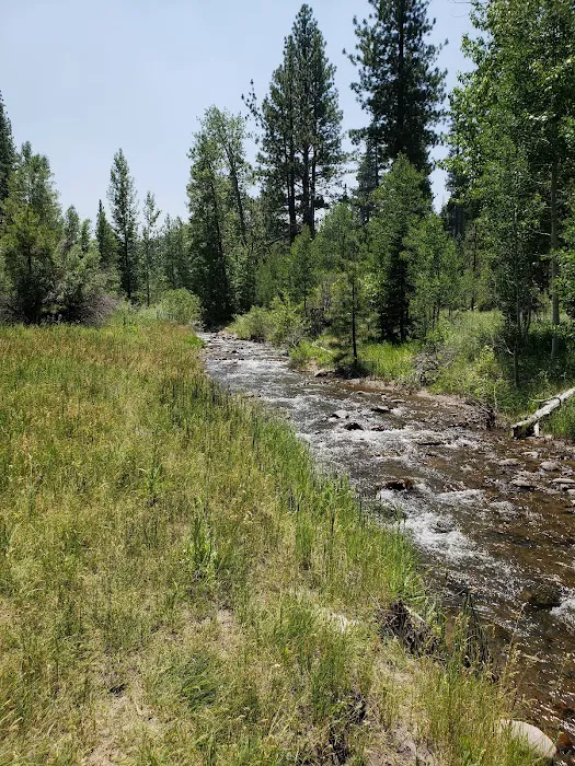Cold Creek Campground Picture 4