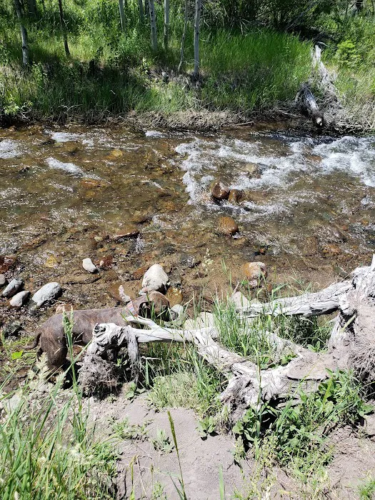 Cold Creek Campground Picture 7