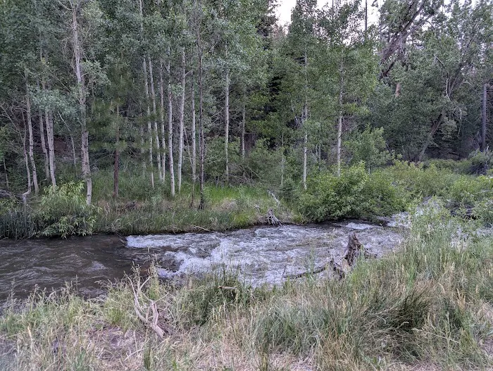 Cold Creek Campground Picture 5