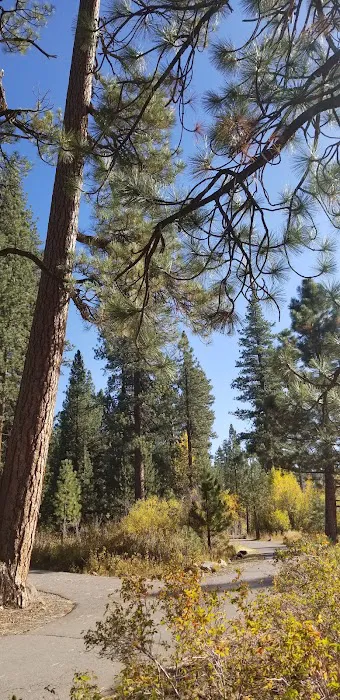 Cold Creek Campground Picture 9