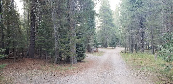 Little Laiser Meadow Horse Campground Picture 6