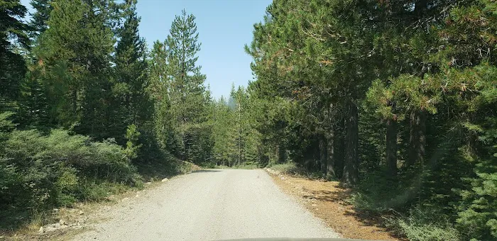 Little Laiser Meadow Horse Campground Picture 2