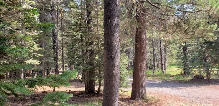Little Laiser Meadow Horse Campground Picture 4