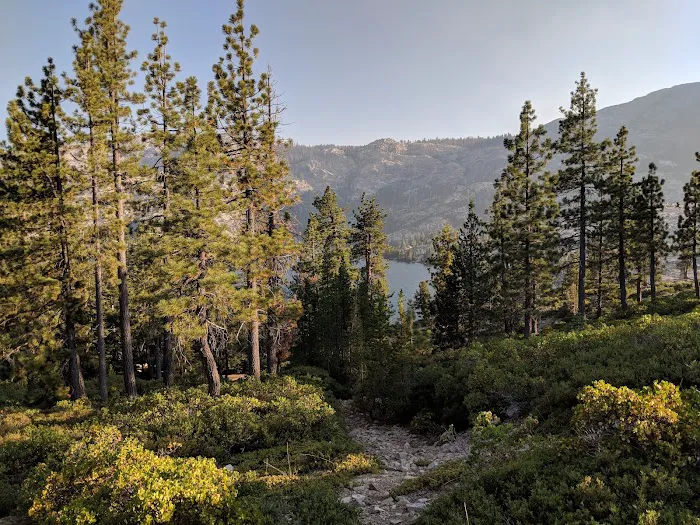 Faucherie Group Campground Picture 3