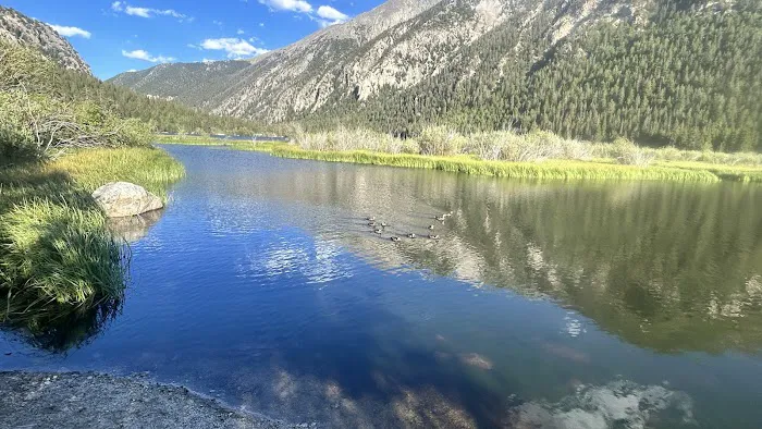 Cottonwood Creek Campground Picture 8