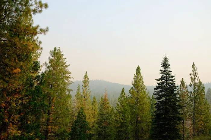 Cottonwood Creek Campground Picture 7