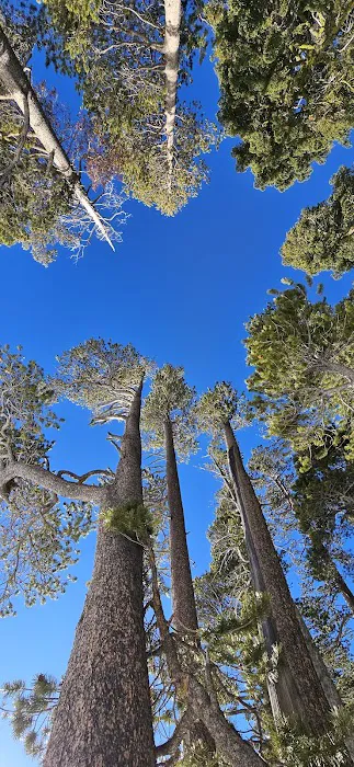 Lake of the Woods Campground Picture 3