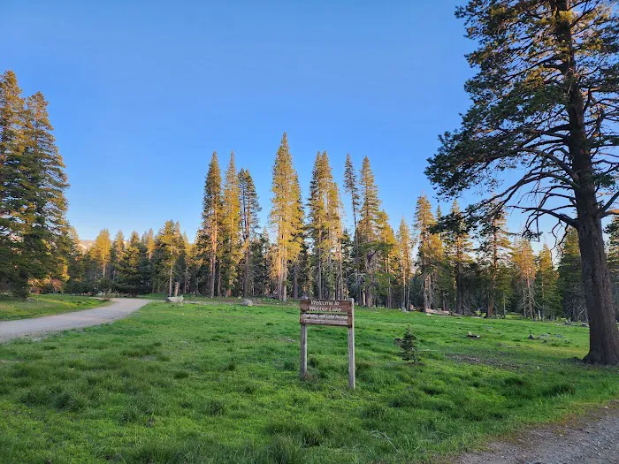 Webber Lake Campground Picture 5