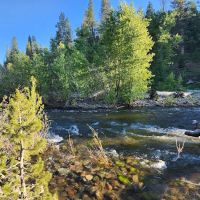Lower Little Truckee Campground ico