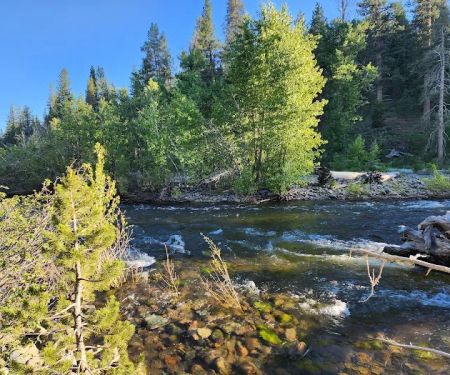 Lower Little Truckee Campground