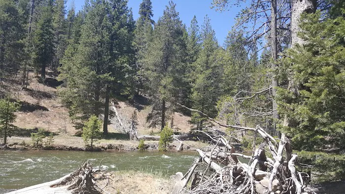 Lower Little Truckee Campground Picture 5
