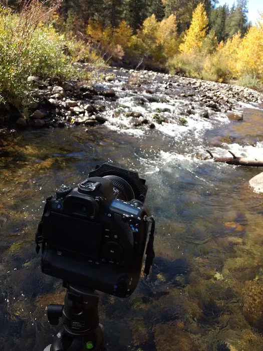 Lower Little Truckee Campground Picture 6