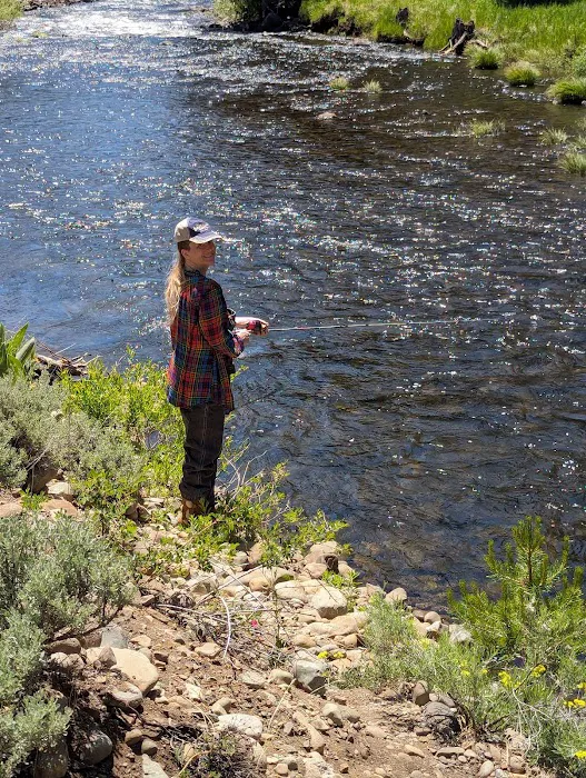 Lower Little Truckee Campground Picture 9