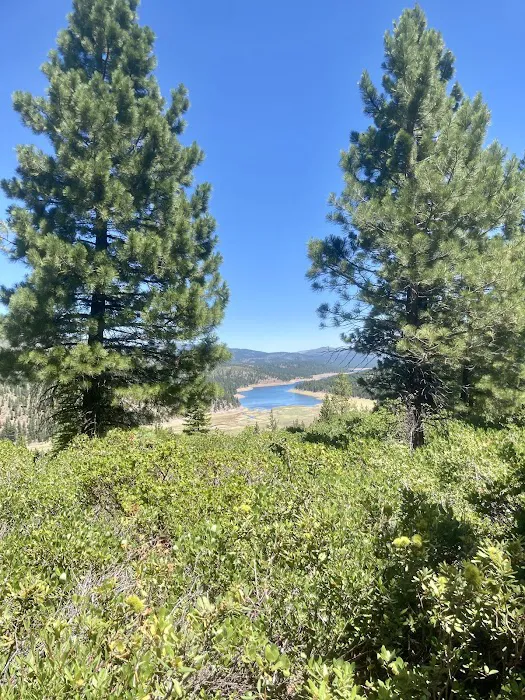 Lower Little Truckee Campground Picture 8