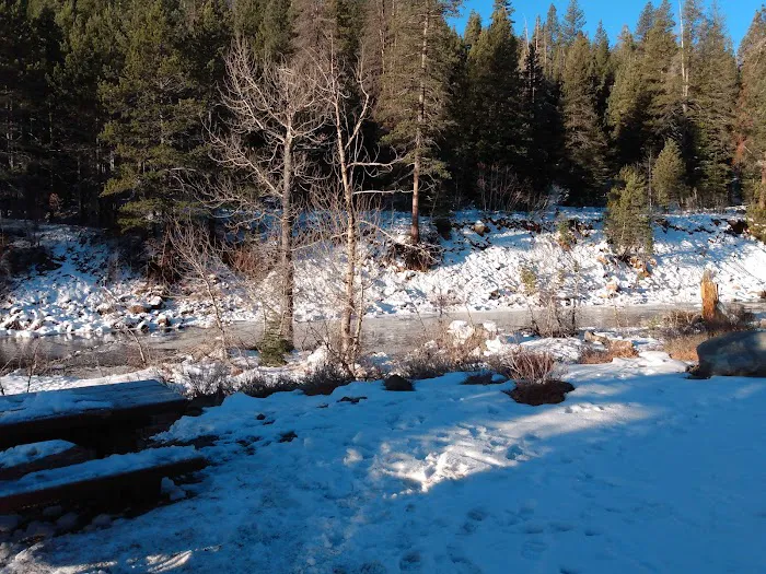 Lower Little Truckee Campground Picture 7