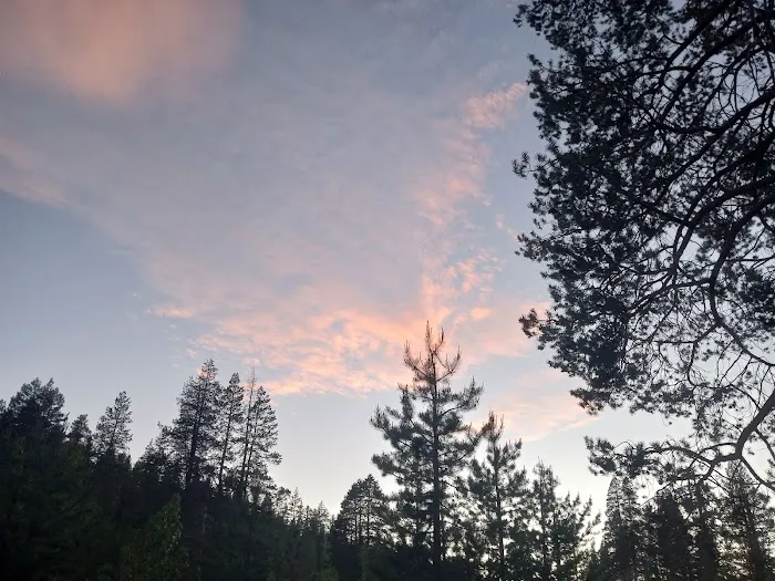 Lower Little Truckee Campground Picture 10