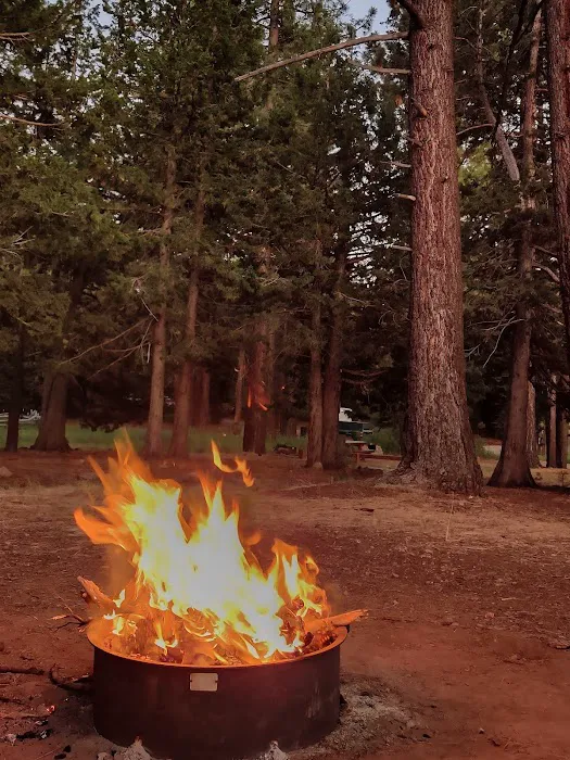 Bear Valley Campground Picture 1