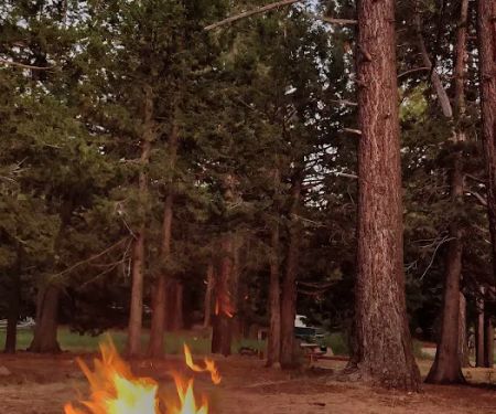 Bear Valley Campground