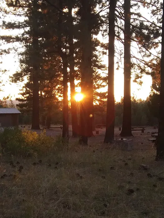 Bear Valley Campground Picture 2